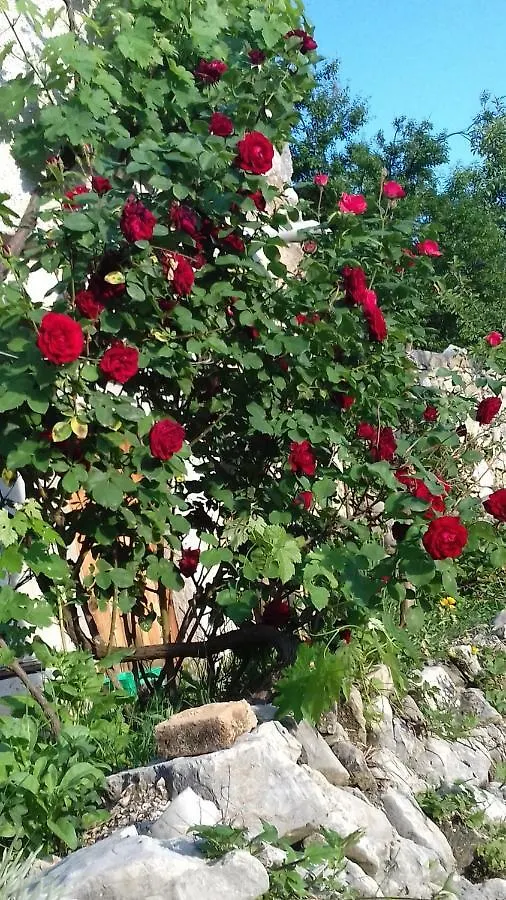 Holiday Home Loznati Cres