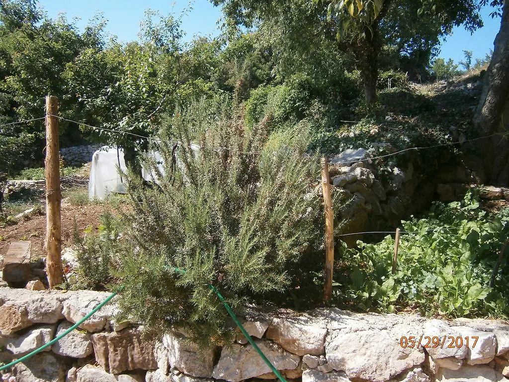 Holiday Home Loznati Cres 0*,