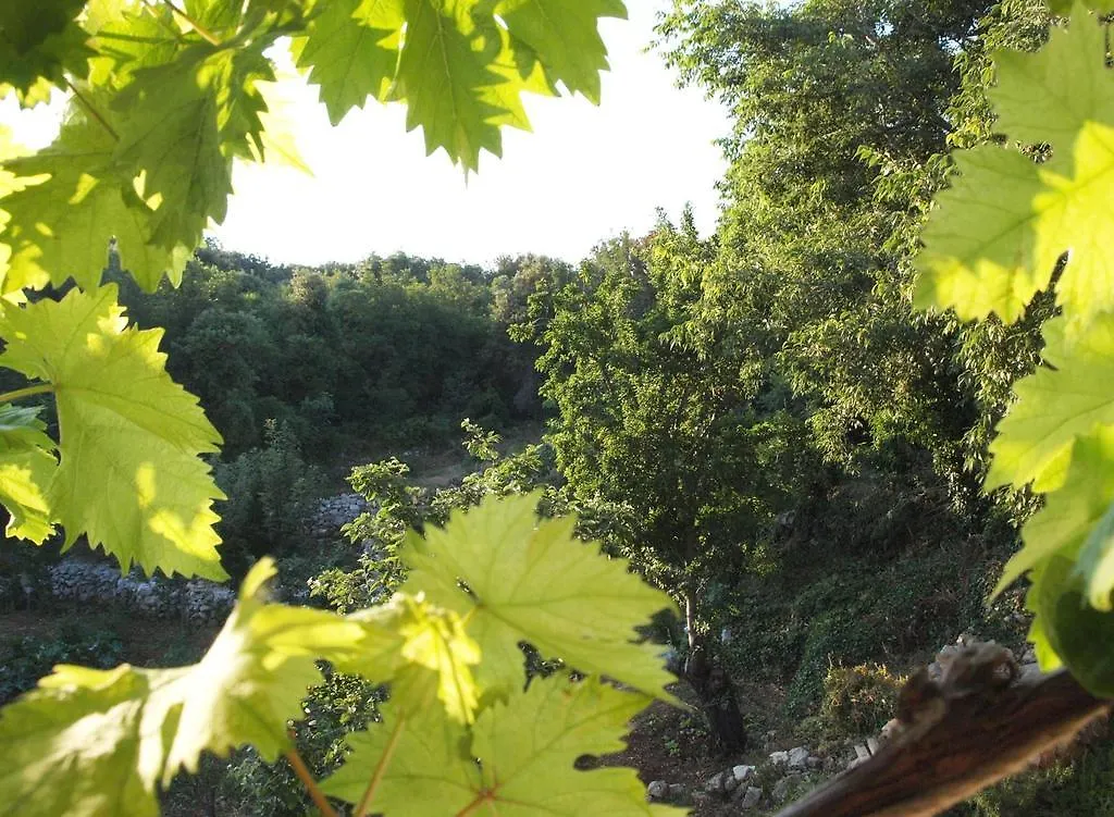 Holiday Home Loznati Cres Croazia